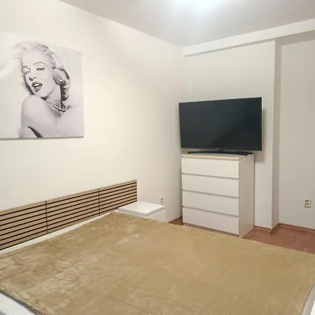 Central Apartment Lejlighed